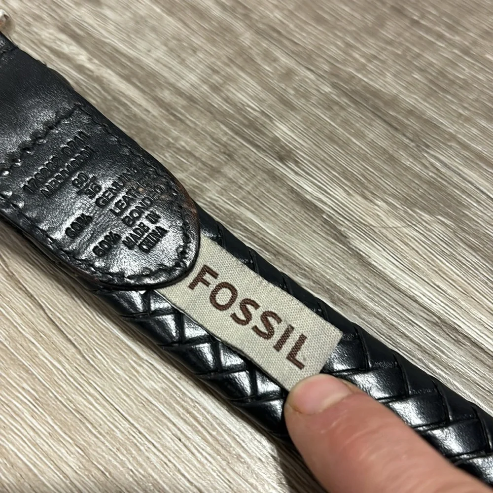 Fossil belt stainless